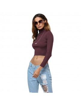 Simple Style Turtleneck Pure Color Women Crop Top - Wine Red L